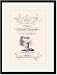 Black Framed/Matted Print 17x23, Soli Deo Gloria