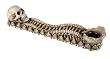 Skulls and Skeletons - Skull Incense Burner - Cold Cast Resin - 10.0" Length