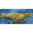 8" Northern Elephant Seal Plush Stuffed Animal Toy