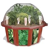 Culinary Herb Garden Growing Kit