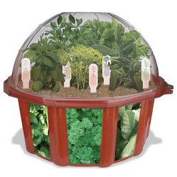 Culinary Herb Garden Growing Kit