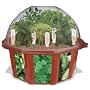 Culinary Herb Garden Growing Kit