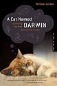 A Cat Named Darwin: Embracing the Bond between Man and Pet