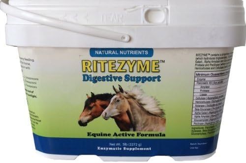 Ritezyme Digestive Support Equine Active Formula - 5lbs