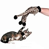 Eigenschaften Trixie  / Trixie Handschuh mit 4 Pompon-Bällen, Leopardenmuster