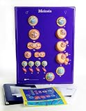 Meiosis Model Activity Set