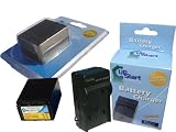 UpStart Battery New - Fully Decoded NP-FV100 Replacement 2 Batteries+Charger Kit for Sony Camcorders