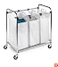 Honey-Can-Do SRT-01235 Heavy-Duty Triple Laundry Sorter, Chrome/White