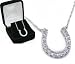 Beautiful Cubic Zirconia 925 Sterling Silver Horseshoe Charm Necklace Comes in a Fancy Jewelers Gift Box