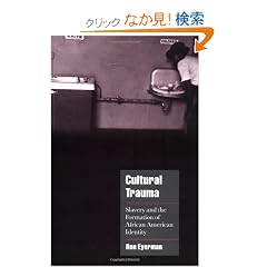 Cultural Trauma: Slavery and the Formation of African American Identity (Cambridge Cultural Social Studies)