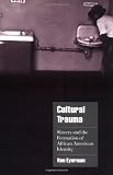 Cultural Trauma: Slavery and the Formation of African American Identity (Cambridge Cultural Social Studies)