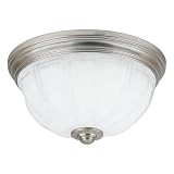Flush Mounted Light Fixtures