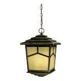 Westinghouse 69974 Ridgetop Two-Light Exterior Hanging Pendant, Marbleized Bronze Finish with Seeded Linen Globe