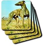 Review 3dRose LLC  / Brindle Greyhound - Set Of 8 Ceramic Tile Coasters