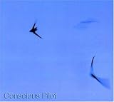 Conscious Pilot