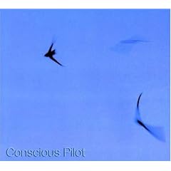 Conscious Pilot