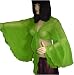 Parrot Belly dance chiffon flare top choli tribal blouse