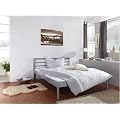 Edles Metallbett LIDO 140x200 Doppelbett silber