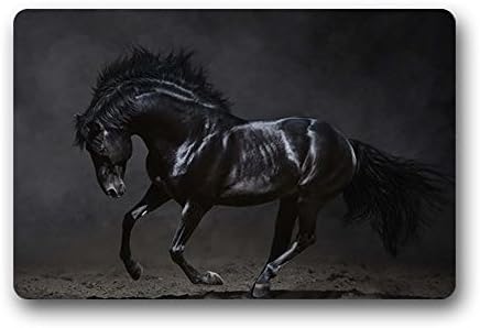 Heymats Black Horse Doormat Outdoors/Indoor Machine Washable Home Floor Mats Rugs 23.6 x 15.7 Inches