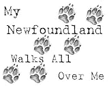 My Newfoundland Walks All Over Me Apron