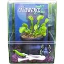 Seymour the Venus Flytrap Carnivorous Plant Pet