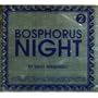 Bosphorus Night 2 by Suat Atesdagli