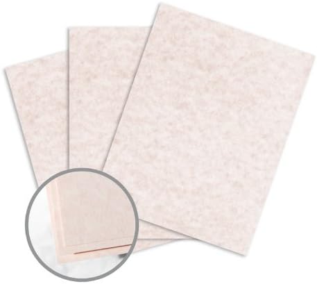 Astroparche Shell Paper - 8 1/2 x 11 in 60 lb Text Vellum 30% Recycled 500 per Ream