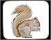 Decorated Mouse Pad with acorn, eating, squirrel, animal, rodent