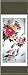 Chinese Art - Wall Scroll Painting - Peony Flower and Koi Fish