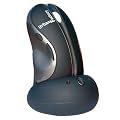 Urban Factory - Desktop Confort - Souris sans fil - Bulk - USB 2.0 - Gris
