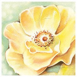Eurographics AWA1120 Hochwertiger Kunstdruck, Arkadiusz Warminski, Wild Yellow Roses 18 x  Preisvergleich