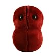 Giant Microbes - Sore Throat (Streptococcus) Educational Plush Toy