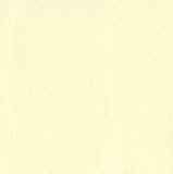 Moda Bella Broadcloth Ivory