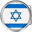 Israel Flag Belt Buckle