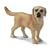 Schleich 16329 - Labrador, gelb