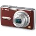 Panasonic DMC-FX07R 7.2MP Digital Camera with 3.6x Optical Image Stabilized Zoom (Red)