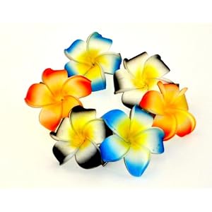 Hawaiian Plumeria Foam Flower Hair Clips Pairs of 3 Colors