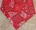 Miracool Dog Bandannas RED PRINT
