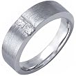 Two Stone Men's Diamond Wedding Band