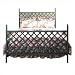 Lattice Bed with Frame Metal Finish: Flower Green, Size: Twin