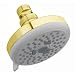 Hansgrohe 06424935 Monsoon E-100 Polished Brass 3-Jet Shower Head