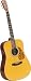 Blueridge BR-140 Historic Dreadnaught Guitar