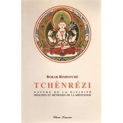 Tchenrezi, la nature de la divinit� - principes et m�thodes de la m�ditation