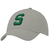 Nike Michigan State Spartans Grey Swoosh Flex-Fit Hat