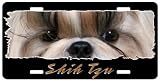 Shih Tzu #2 