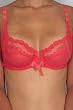 Aubade Piraterie de l'Amour 3/4 Cup Bra - A115