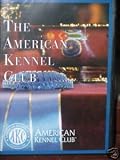 American Kennel Club AKC Airedale Terrier Official Breed Standard DVD->Cliquez sur l'image pour obtenir des informations sur ce DVD