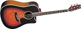 Washburn D10 Series Dreadnought Acoustic Electric Guitar