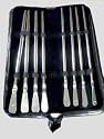 Dittel Urethral Sound Set