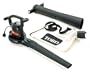 Toro Rake & Vac 10.5 Amp 2-Speed Electric Blower/Vacuum 51574
